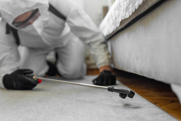 Professional Cockroach Control technician working in Monroe County County, MO